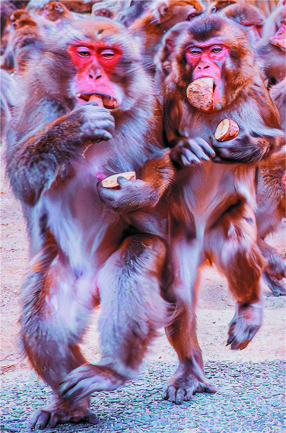 【写真】松田 良二「ダッシュ」